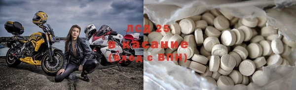 индика Каменногорск