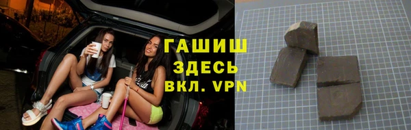 индика Каменногорск