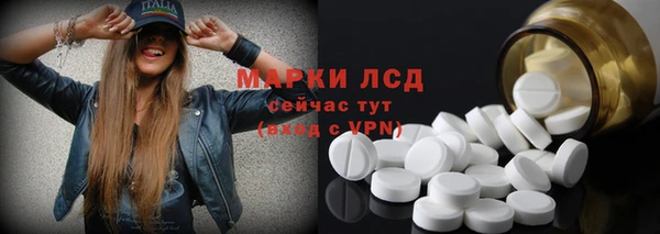 индика Каменногорск