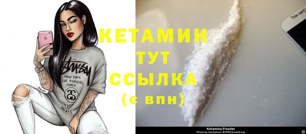 индика Каменногорск