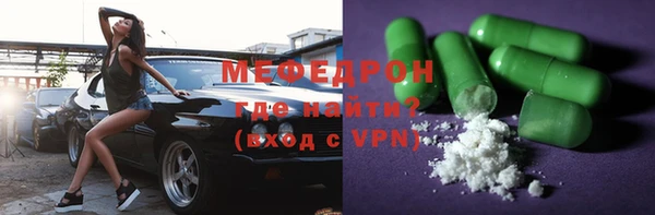 индика Каменногорск