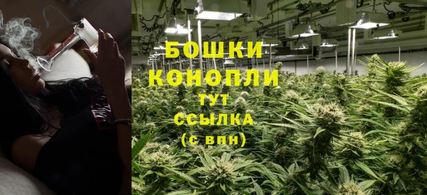 индика Каменногорск