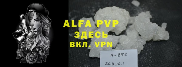 индика Каменногорск