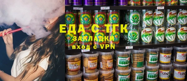 индика Каменногорск
