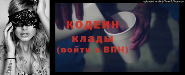 индика Каменногорск