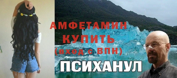 индика Каменногорск