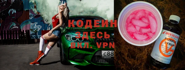 индика Каменногорск