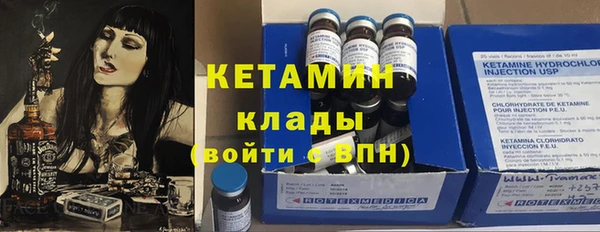 индика Каменногорск