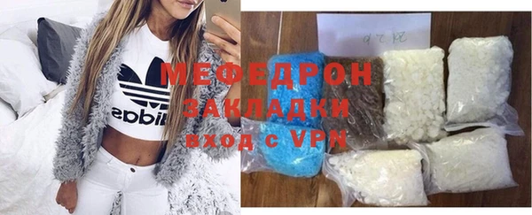 индика Каменногорск