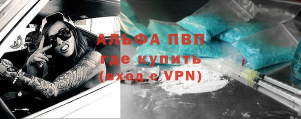 индика Каменногорск