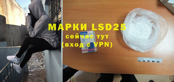 индика Каменногорск