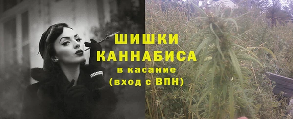 индика Каменногорск